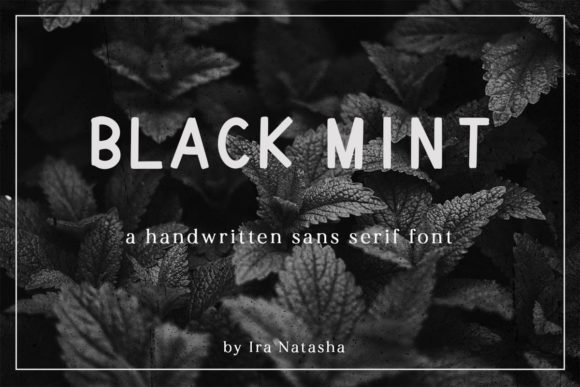 Black Mint: The Minimal Sans Serif Font for Stronger Brand Identity