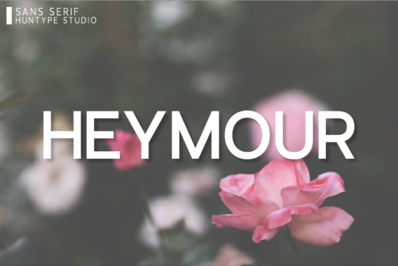 Heymour: A Designer's Real-World Review for Brand Projects
