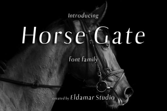 Horse Gate Typeface Review for Modern Web Design