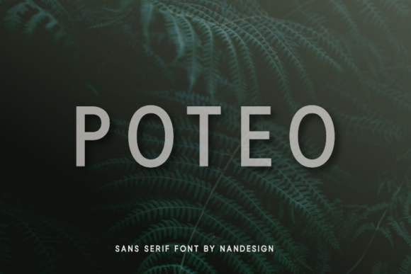 Poteo Typeface Review: A Smooth Sans Serif for Modern Branding