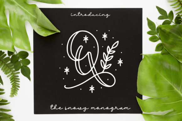 Quinn Monogram: A Creative Review for Small Business Branding