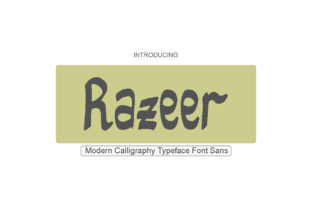 Razeer: The Playful Sans Serif Font for Handmade Creators