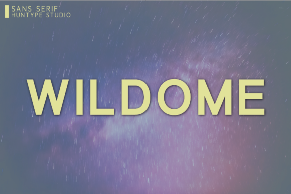 Wildome: A Strong Sans Serif Font for Modern Business Branding
